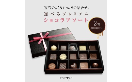 プレミアム ショコラ アソート15個×2【cherry.c】[ チョコレート スイーツ ギフト ]