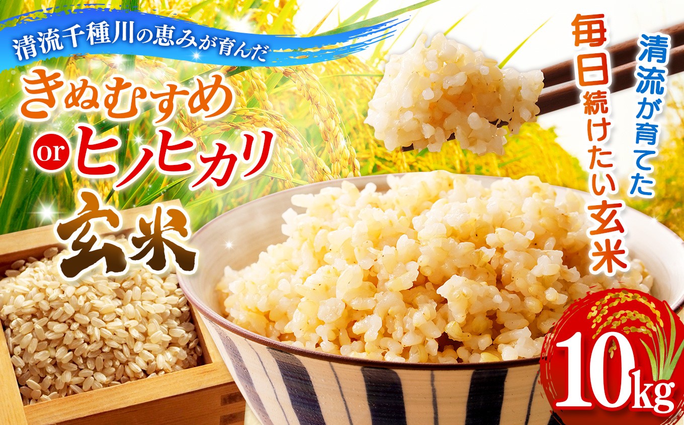 
                  【選べる品種】清流千種川で育った玄米10kg ヒノヒカリ / きぬむすめ | お米 おこめ 米 コメ こめ ヒノヒカリ きぬむすめ 玄米 兵庫県産 艶 粘り 甘み ふっくら 冷めても美味しい おにぎり お弁当 兵庫県南部 盆地米 特産米 自然豊か 高評価 リピーター続出 家庭用 高級米 毎日食べたい 家庭用 贈答用 まとめ買い 国産ブランド米 冷めても旨い 艶 粘り 甘み 兵庫県 上郡町
                