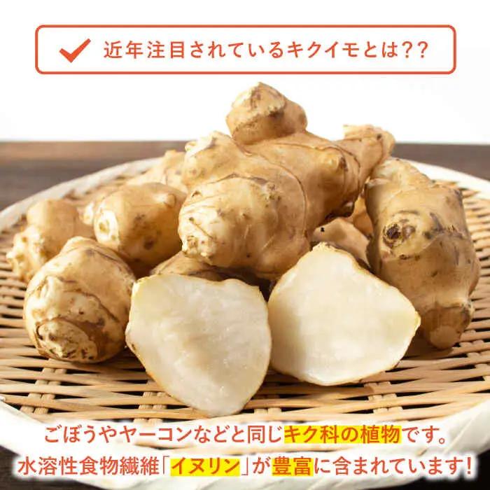 嬉野市産キクイモチップス・パウダー2点セット NAG009 菊芋きくいも
