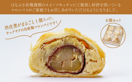 マロンパイ ６個 マロンパイ