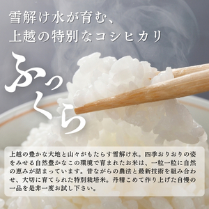 令和7年産 米 特別栽培米 コシヒカリ (白米) 10kg 10キロ 棚田米 どぶろく荘 こしひかり お米 コメ 送料無料