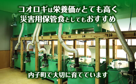 イエコオロギパウダー うちこおろぎスープカレー4個セット BKBN002 カレー