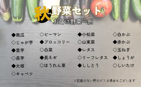 【予約受付/2025年9・10月発送】秋 野菜セット B【 2ヶ月 定期便 】 10品 以上 季節 旬 秋野菜 岩手県 北上市 E0220-01 きのこ 葉物 果菜 根菜 冷蔵 野菜室 ダイエット 食