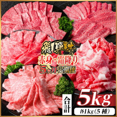 【ふるさと納税】【毎月定期便】飛騨牛　赤身・霜降り定期便　計5kg カルビ・赤身・ロース(焼肉・BBQ用)全5回【配送不可地域：離島】【4075139】