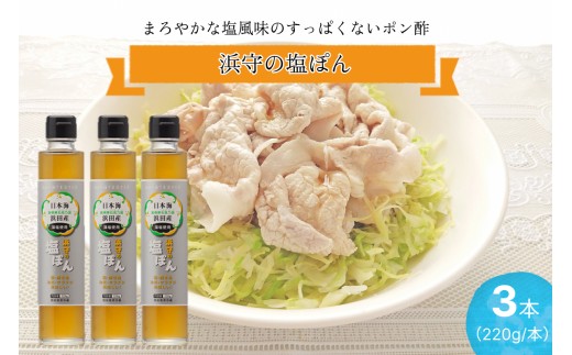 浜守の塩ぽん　3本セット 調味料 ポン酢 塩風味 ゆず さっぱり あっさり 【210_0002】