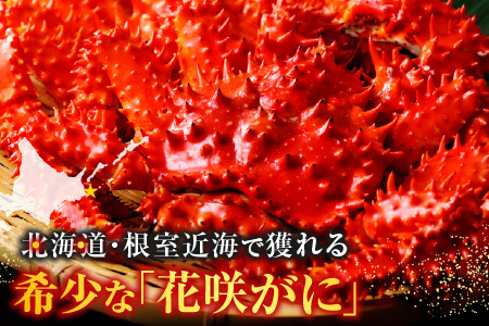 【北海道根室産】花咲がに甲羅詰め3個 A-54003