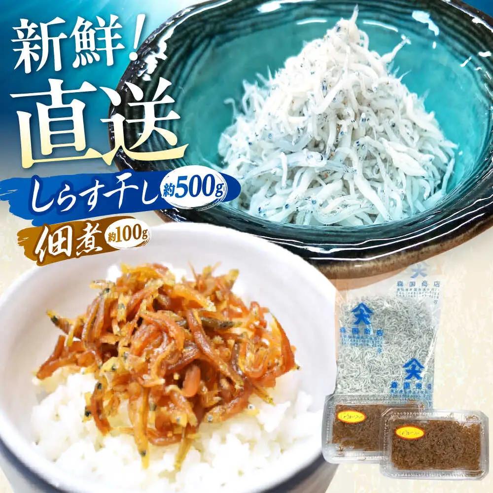 しらす干し（約500g）と佃煮（約100g）セット/森国商店&nbsp;浜で瞬時に釜出し&nbsp;高知のしらす【グレイジア株式会社】[ATAC485]