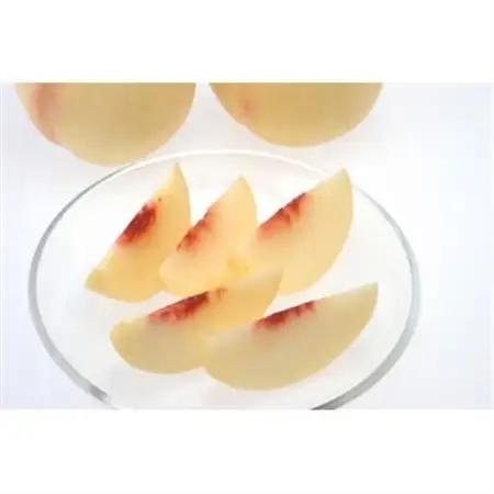 岡山白桃食べ比べ　早生種　6玉2種類【配送不可地域：離島】【1684885】