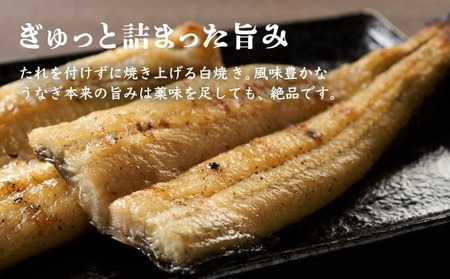 【6回定期便】手焼き 白焼きうなぎ2尾【国産 高知県産白焼きウナギ】