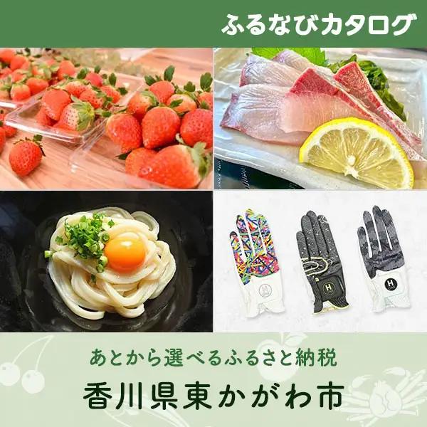 【有効期限なし！後からゆっくり特産品を選べる】香川県東かがわ市カタログポイント