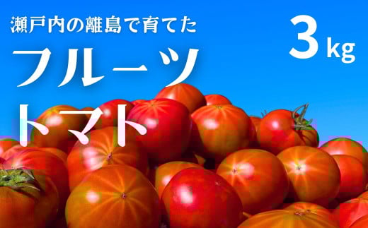 瀬戸内のフルーツトマト 3kg【2026年3月以降発送】 国産 瀬戸内 せとうち 広島 大崎上島 離島 濃厚 トマト 糖度8度以上