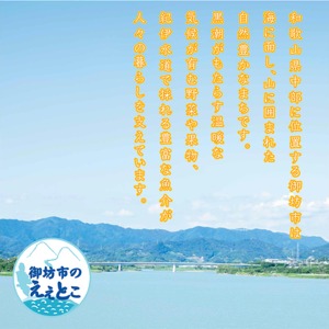 【0919-4】【家庭用】紀州南高梅　はちみつ漬つぶれ梅　2kg