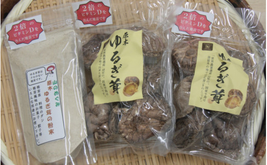 中野屋の油留木乾し椎茸 ＆椎茸パウダーセット（1734R）_イメージ3