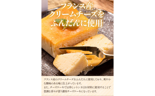 チーズ チョコ ケーキ デザート スイーツ  濃厚ガトーショコラ＆濃厚チーズケーキ 2本セット《30日以内に出荷予定(土日祝除く)》 ---sc_fptsngm_30d_22_13500_2p---