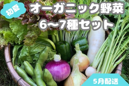 【先行予約：5月配送】＜てんとうむしばたけ＞初夏のオーガニック野菜セット　有機野菜6～7種前後 農家直送 京都直送 野菜 詰め合わせ 野菜セット 国産 京都産 ふるさと納税 野菜