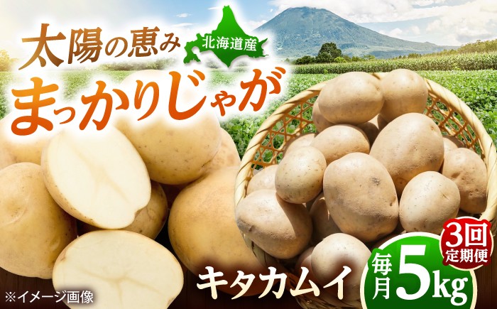 
                  【全3回定期便】【11月～1月発送】 じゃがいも キタカムイ（まっかりじゃが）5kg | じゃがいも ジャガイモ キタカムイ きたかむい 野菜 北海道 産地直送 定期便 | 道の駅 真狩フラワーセンター [BPAM094]
                