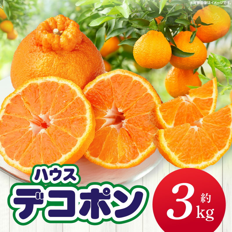 【ふるさと納税】【先行予約】ハウスデコポン約3kg（8-16玉）【香川県共通返礼品】 デコポン 甘い 酸味 柑橘 柑橘系 果物 フルーツ 青果 デザート グルメ おすすめ 贈答 贈り物 贈答用 ギフト プレゼント 特産品 特産 取り寄せ ふるさと 果肉 果汁 お裾分け 香川県