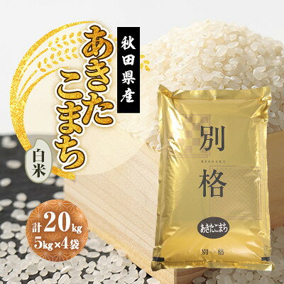【ふるさと納税】【毎月定期便】あきたこまち 白米 20kg(5kg×4袋)全3回【配送不可地域：離島・沖縄県】【4080811】