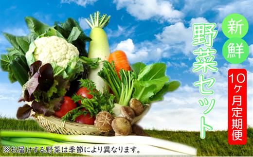 
【安全・安心・産直直送！】季節の野菜詰め合わせ（おまかせセット）【10ヵ月定期便】
