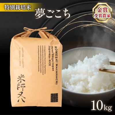 ふるさと納税 竜王町 令和7年  夢ごこち 10kg 金賞受賞農家 若井農園 WN010_R7