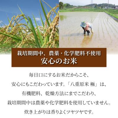 ふるさと納税 東御市 【太陽と大地】令和7年産「八重原産コシヒカリ白米「極」(栽培期間中農薬化学肥料不使用)8kg」 |  | 03