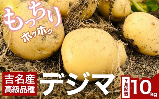 吉名のじゃがいも「まるきっちゃん」デジマ 10kg +400g（傷み補償分）7月発送【野菜 じゃがいも ポテト いも 芋 産地直送 でじま 出島 高級品種 農家直送】