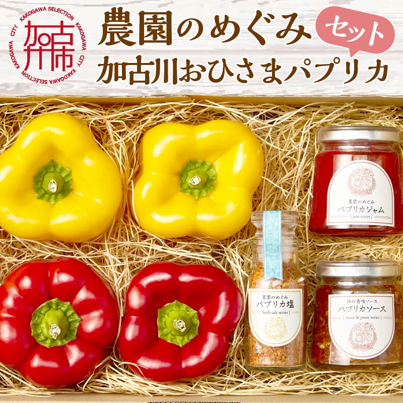【ふるさと納税】【レビューキャンペーン】 ☆期間限定☆加古川おひさまパプリカ＆ジャム・ソース・ソルト【8月中旬より順次発送】《 パプリカ ジャム ソース ソルト おひさまパプリカ 国産 おすすめ プレゼント 贈答 美味しい 送料無料 》