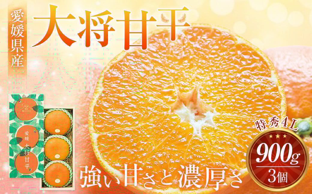 
            【先行予約】 愛媛県産 大将甘平 特秀4Lサイズ900g（3個） かんぺい みかん 果物 フルーツ 【2026年2月上旬～2月下旬発送予定】（871）
          