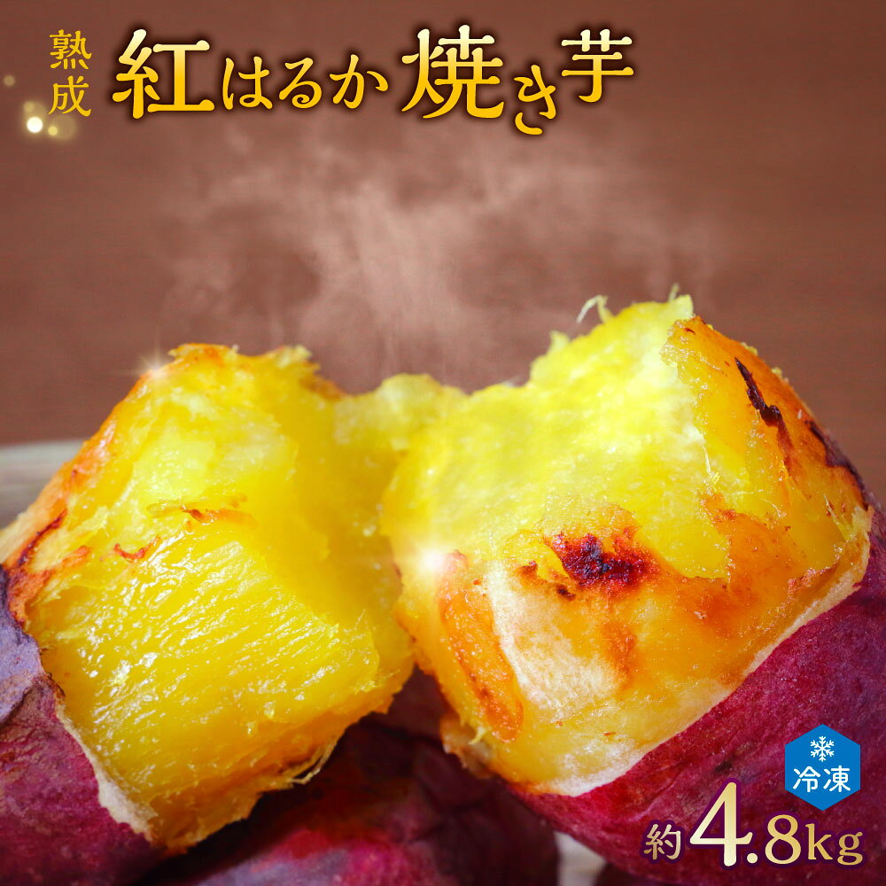 【ふるさと納税】 熟成紅はるか冷凍焼き芋 約4.8kg (電子レンジ対応袋使用) 冷凍 焼き芋スムージー 濃密な甘さ 熟成サツマイモ 遠赤外線焼き上げ 焼き芋ラテ 急速冷凍 長期保存 レンジで簡単 アレンジ自由 ご褒美スイーツ 茨城県 潮来市 送料無料