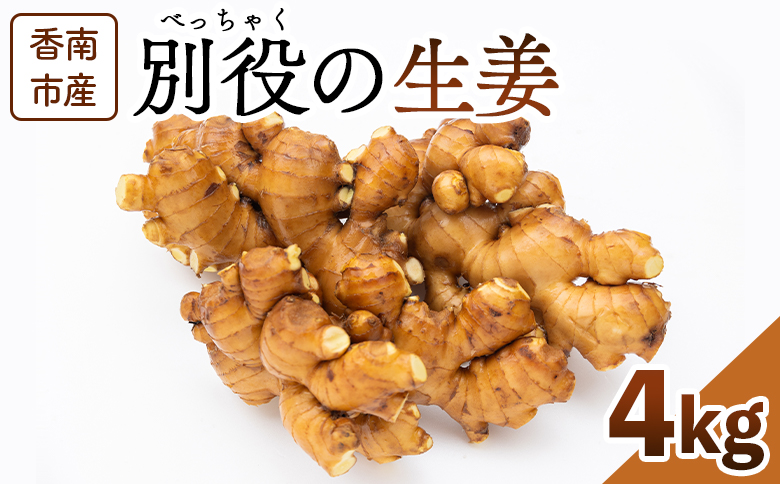 生姜 4kg 香南市産 別役の生姜 - しょうが ショウガ ジンジャー 薬味 調味料 国産 株式会社べっちゃく 高知県 香南市 bc-0026