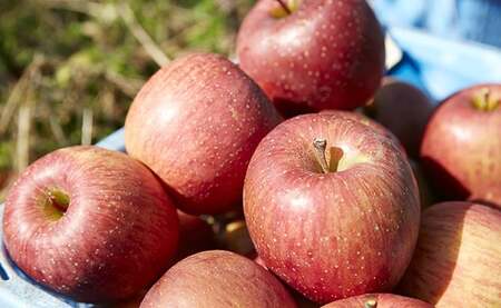 潮風りんごジュース1L×3本