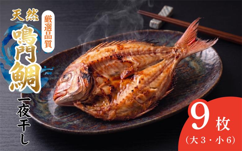干物 9枚 魚 干物 干し物 セット 干物セット 鯛 鳴門鯛 天然 天然鯛 一夜干し 冷蔵 海鮮 おつまみ 鳴門 徳島 ギフト 晩ごはん 贈り物 ふるさと納税 送料無料 魚介 魚貝 開き 人気