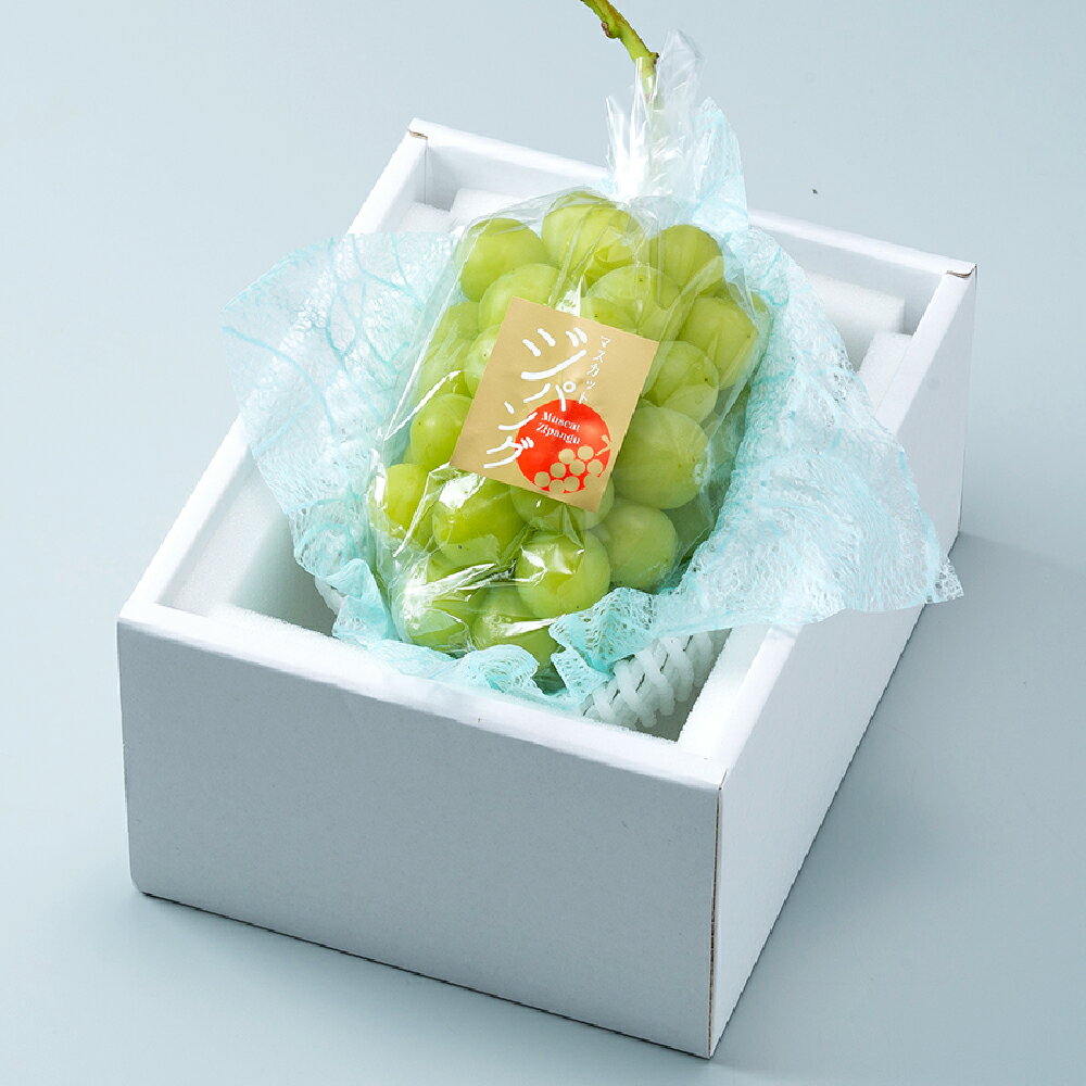 【ふるさと納税】＜選べる容量＞岡山県産 マスカットジパング 1房 約700g / 約800g / 約900g ぶどう ブドウ 葡萄 岡山県産 国産 フルーツ 果物 ギフト 岡山のぶどう デザート 食後 大粒 種無し 皮ごと 後味さっぱり 送料無料 【2026年7月下旬～8月下旬迄発送予定】
