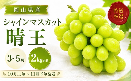 シャインマスカット 2026年 先行予約 シャインマスカット 晴王 約2kg 3～5房 岡山県産 種なし 皮ごと 大粒（10月上旬～11月下旬発送分） シャインマスカット マスカット シャイン ブドウ ぶどう 葡萄 しゃいんますかっと しゃいん
