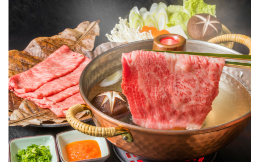 【毎月定期便】【A4～A5】博多和牛しゃぶしゃぶすき焼き用 500g 全6回　AO068