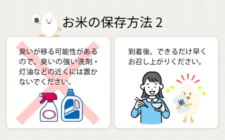 兵庫県産コノホシ (5kg) 米 / 米