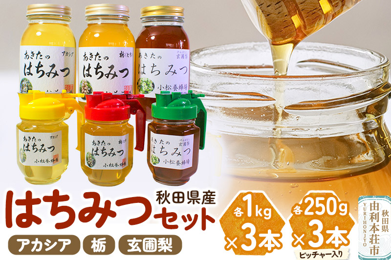 小松養蜂場 はちみつ 秋田県産 100％ 秋田のはちみつ6本セット 合計3.75kg（アカシア,栃, 玄圃梨 各1Kg×1本+ピッチャー入250g×1本)