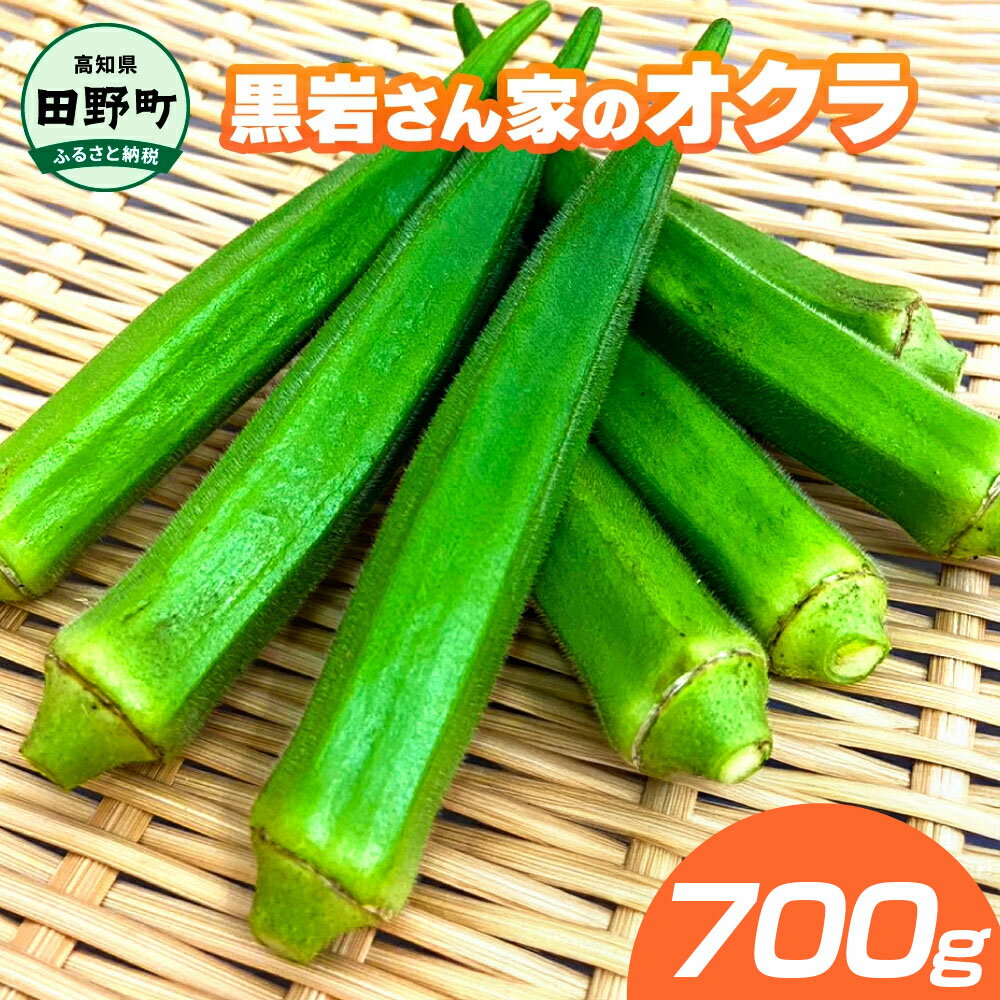 【ふるさと納税】黒岩さん家のオクラ 700g オクラ 国産 おくら 国産オクラ 夏野菜 新鮮野菜 美味しい 野菜 厳選 新鮮 おかず 常温 配送 副菜 惣菜 煮物 朝どれ 詰め合わせ 取り寄せ グルメ お取り寄せグルメ お取り寄せ サラダ ふるさとのうぜい 返礼品 高知県 高知 4000円