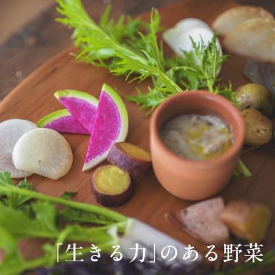 ふるさと納税 掛川市 【毎月定期便】しあわせ野菜畑の有機野菜　Sセット　(安心の有機JAS認証　オーガニック野菜)全6回 |  | 02