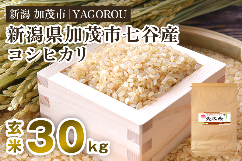 
                  【令和8年産新米先行予約】新潟県加茂市 七谷産コシヒカリ  玄米30kg 《9月下旬～順次出荷》 新潟産コシヒカリ 豊かな山水で育った天水米 加茂市 YAGOROU ヤゴロウ
                