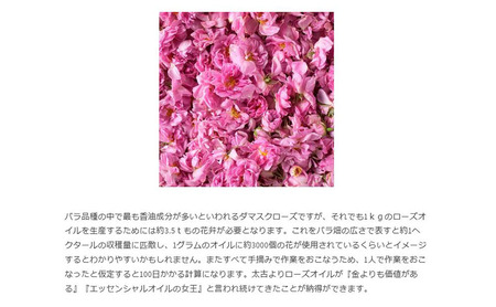 ブルガリアン ナチュラルローズウォーター 化粧水 美容 美容用品 美容グッズ ダマスクローズ ダマスクローズウォーター オーガニック ラステニエ ケア用品 ケアグッズ ボディケア 大阪 大阪府 岸和田