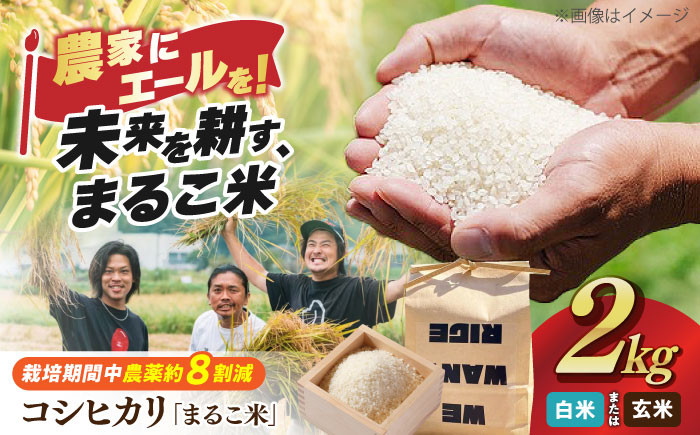 
            【令和6年産】コシヒカリ 滋賀県西浅井町産「まるこ米」2kg 【選べる精米方法】滋賀県長浜市/ONE SLASH 株式会社 [AQCZ001] 米 お米 白米 玄米  2kg 
          