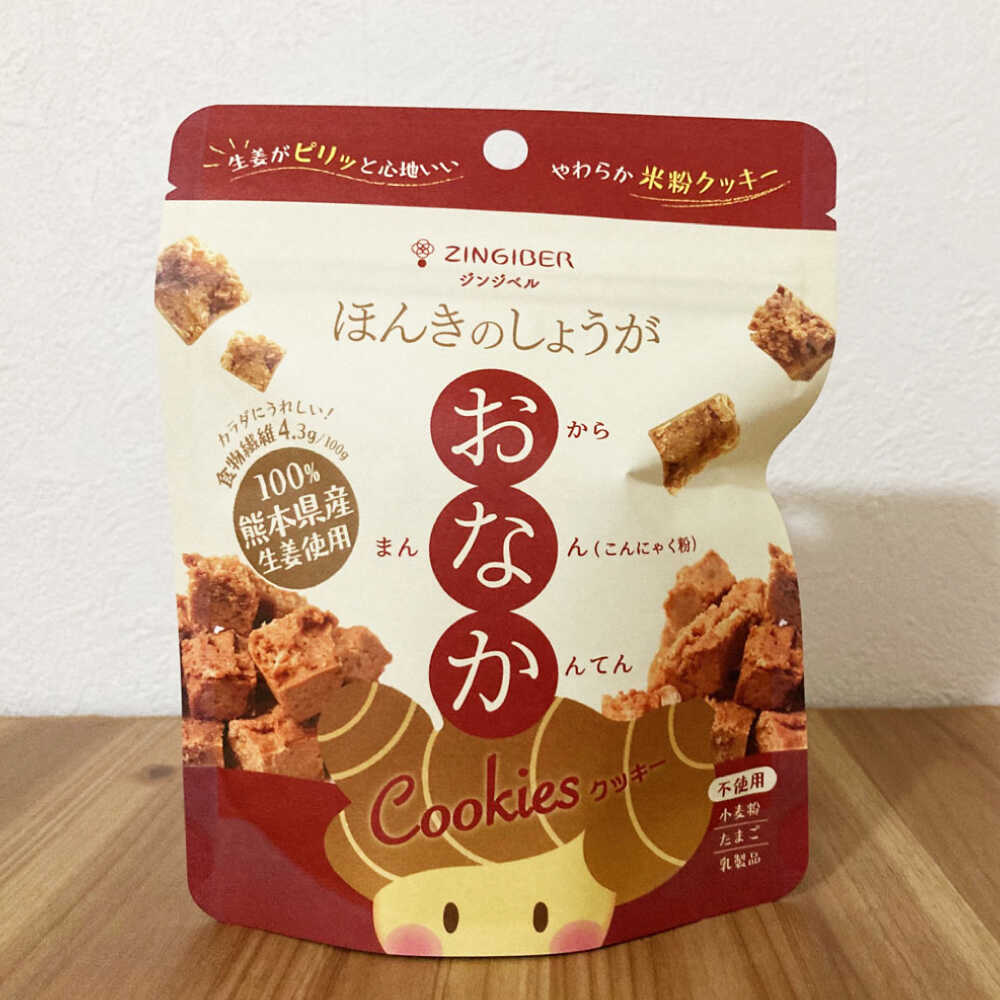 【ふるさと納税】ほんきのしょうが おなかクッキー ジップパック10袋セット【ジンジベル】 生姜 しょうが ジンジャー おから マンナン 蒟蒻 こんにゃく 寒天 かんてん クッキー 小腹 食物繊維 米粉 米粉クッキー おからクッキー おやつ 手軽 ギフト プレゼント [AYAD016]