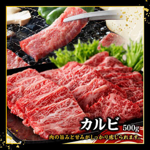 宮崎牛 堪能セット 【スタンダード】 合計1.5kg【 肉 牛肉 国産 宮崎県産 黒毛和牛 和牛 モモスライス カルビ 】