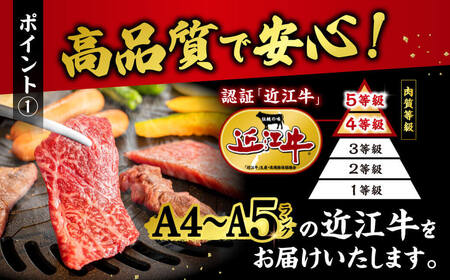 近江牛切り落とし 500ｇ O-H06 西川精肉店 東近江  ( 大人気近江牛焼肉 人気近江牛焼肉 大人気和牛近江牛焼肉 人気和牛近江牛焼肉 大人気黒毛和牛近江牛焼肉 人気黒毛和牛近江牛焼肉 大人気牛