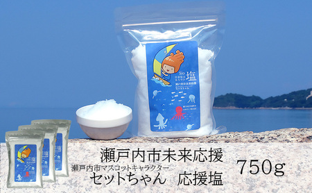 塩 粗塩 セットちゃん 応援塩 750g(250g×3袋) 