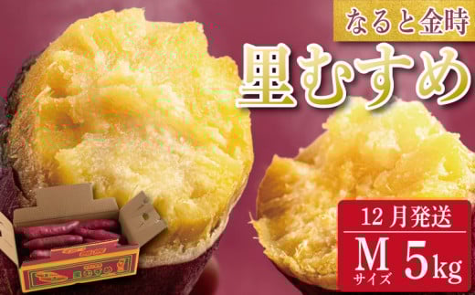 さつまいも 鳴門金時 5kg 2025年12月発送 なると金時 Mサイズ 里むすめ 芋 野菜 スイーツ スイート チップス 棒 箱 詰め 紅 甘い お菓子 金時 大学 種類 生 調理 干し芋 焼き芋 ホクホク ケーキ 産地直送 黄 ふるさと ギフト 年 日 徳島 鳴門