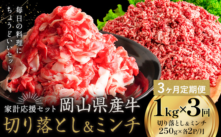 【3ヶ月定期便】牛肉 国産 切り落とし ミンチ セット 家計応援 岡山県産牛 1kg×3回 1パック250g《お申し込み月の翌月から出荷開始》岡山県 笠岡市 肉 ひき肉 グルメ お取り寄せグルメ