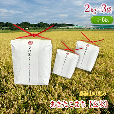 【ふるさと納税】米 お米 秋田県産 あきたこまち 玄米 6kg（2kg×3袋）神宿る里の米「ひの米」（お米 小分け）　霊峰 鳥海山 自然 高原 冷涼 濃い味 新鮮 美味しい