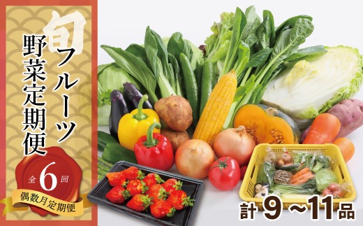 【偶数月お届け】むなかた旬のお任せセット(野菜・フルーツ) 9～11品 【JAほたるの里】_HB0174